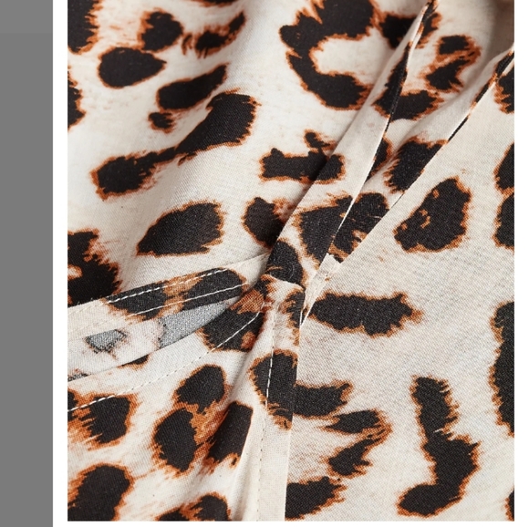 Express Leopard Print V-Neck Maxi Dress Size Small - Picture 5 of 7